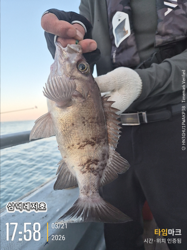 2026-03-21 17.58.26_.jpg