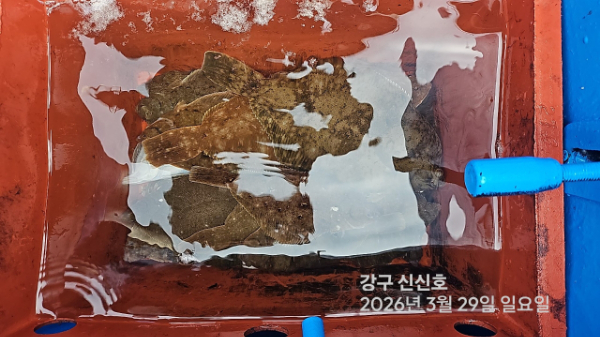 신신낚시 강구점 신신호_사진_20260329_19.jpg