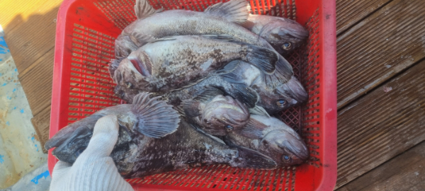 안산 포세이돈호_사진_20260314_18.jpg