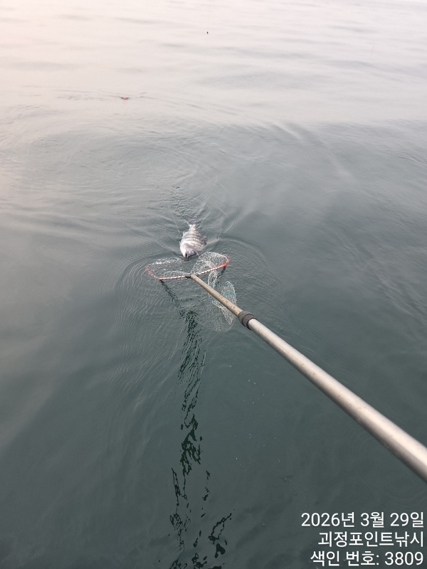 KakaoTalk_20260329_163032555_01 (1).jpg