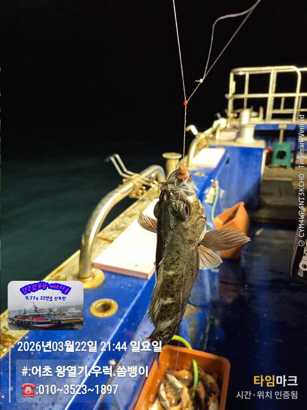 2026-03-22 21.44.05__(#-어초 왕열기.우럭.쏨뱅이)_(-010~3523~1897).jpg