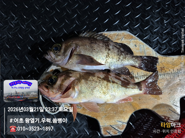 2026-03-21 23.37.14__(#-어초 왕열기.우럭.쏨뱅이)_(-010~3523~1897).jpg