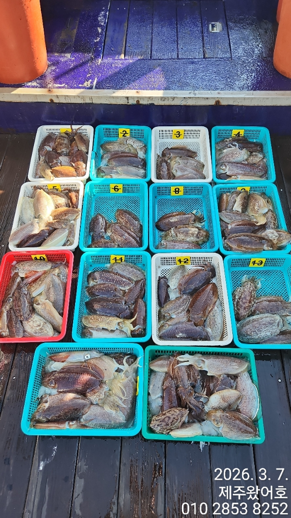 제주왔어호_사진_20260309_20.jpg