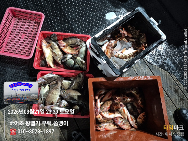 2026-03-21 23.39.49__(#-어초 왕열기.우럭.쏨뱅이)_(-010~3523~1897).jpg