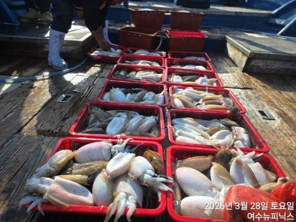 3월28일심해갑 (33).jpg