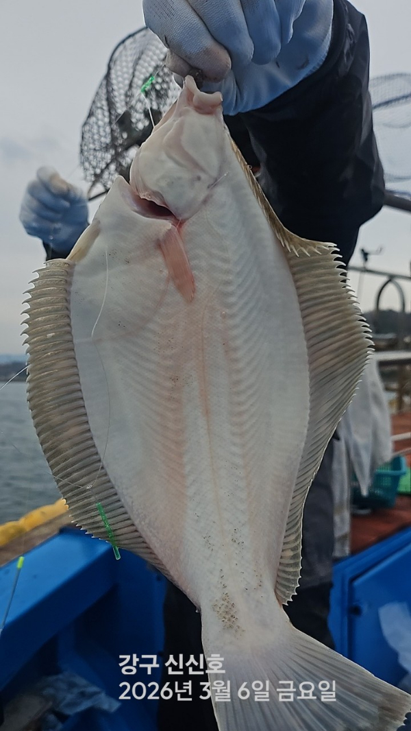 신신낚시 강구점 신신호_사진_20260306_14.jpg