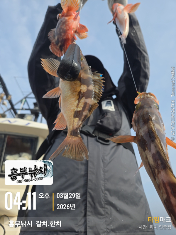 2026-03-29 04.11.04__(-흥부낚시  갈치.한치).jpg