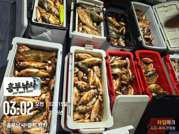 2026-02-15 03.02.28__(-흥부낚시  갈치.한치).jpg