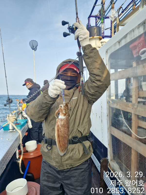제주왔어호_사진_20260329_28.jpg