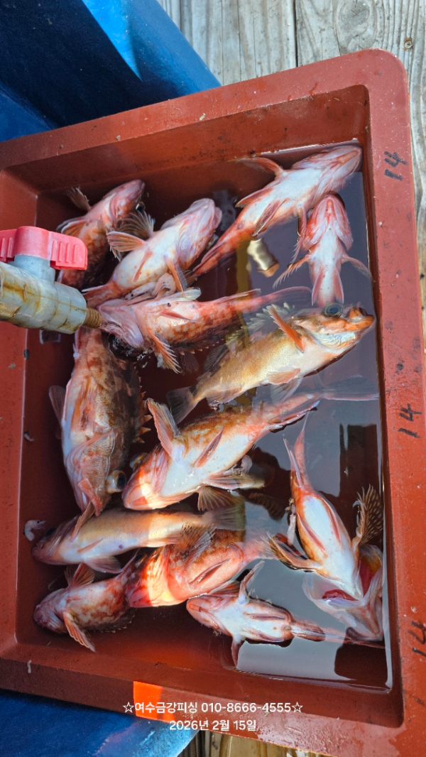 여수금강피싱_사진_20260309_5.jpg