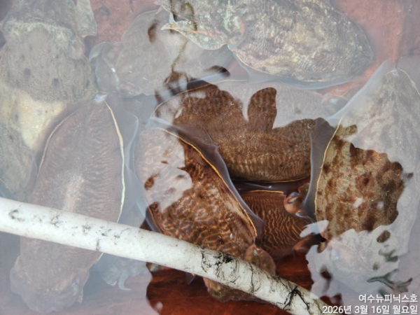 3월16일심해갑 (16).jpg