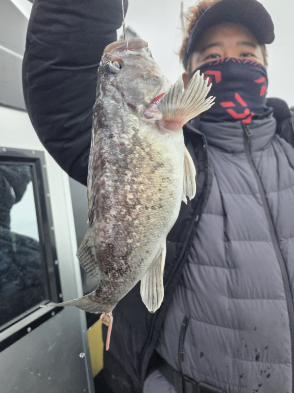 군산 선상낚시, 바다낚시 출조 전문 ☆서군산낚시☆_사진_20260328_7.jpg