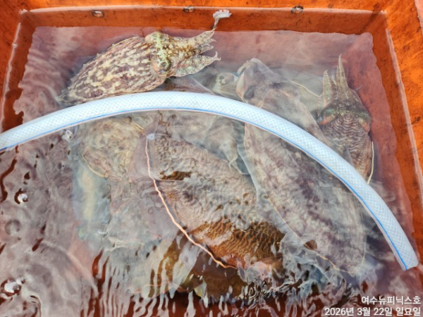 3월22일심해갑 (24).jpg