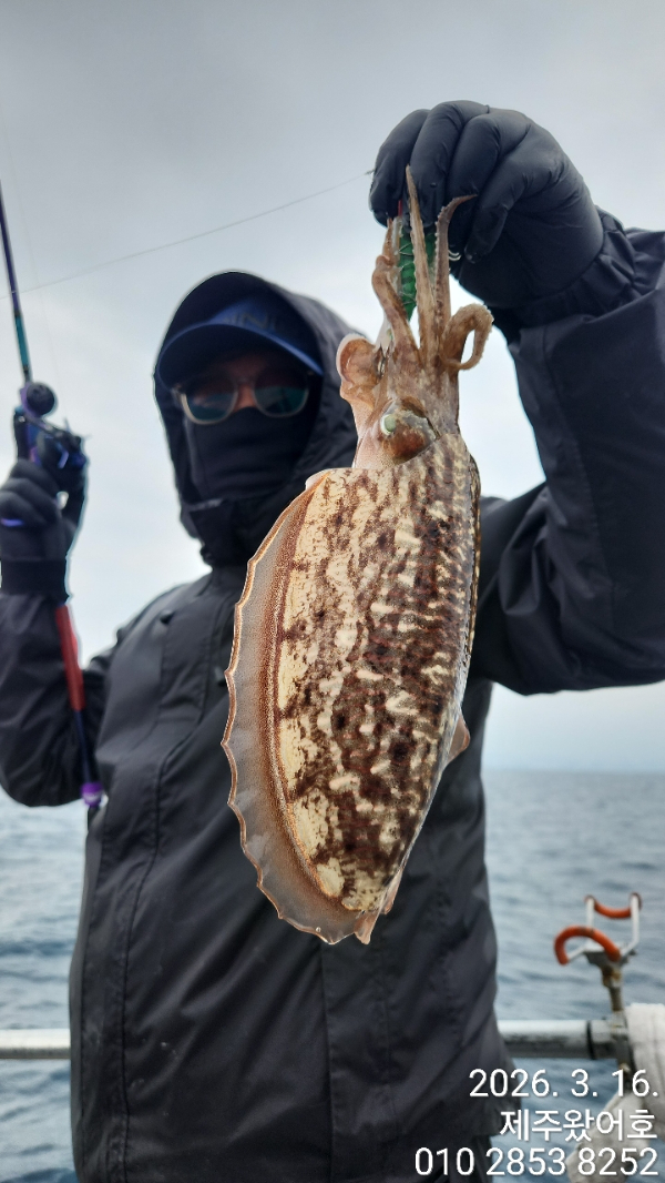제주왔어호_사진_20260317_24.jpg