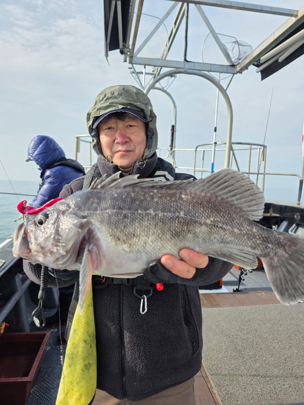 ꫛꫀꪝ✧‧˚ 태안 마검포 新출항호 .• _˚☀₊_사진_20260314_1.jpg