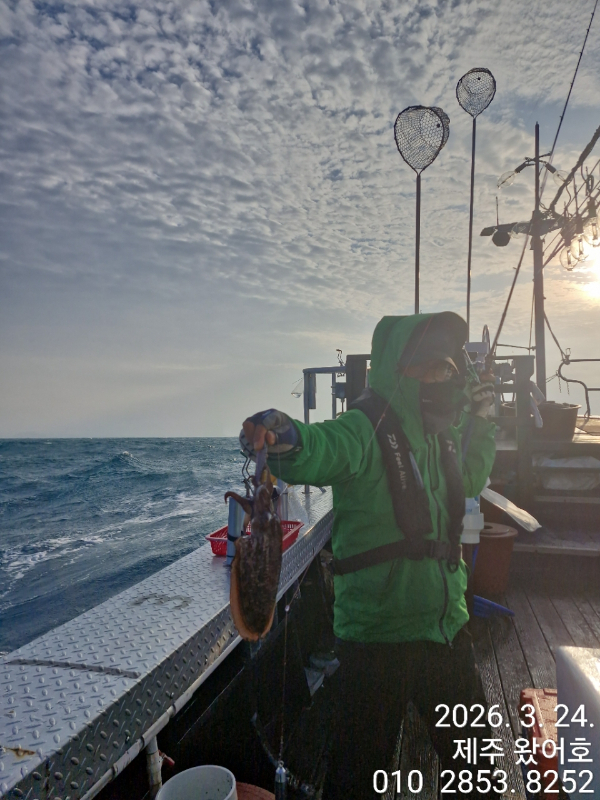 제주왔어호_사진_20260324_35.jpg