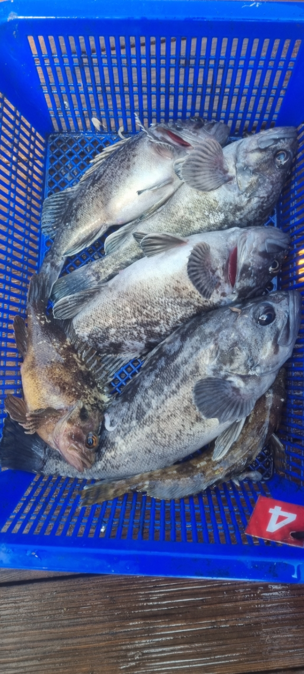 안산 포세이돈호_사진_20260314_13.jpg