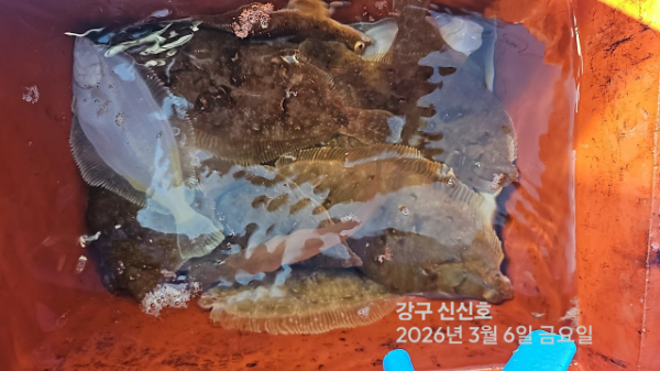 신신낚시 강구점 신신호_사진_20260306_17.jpg