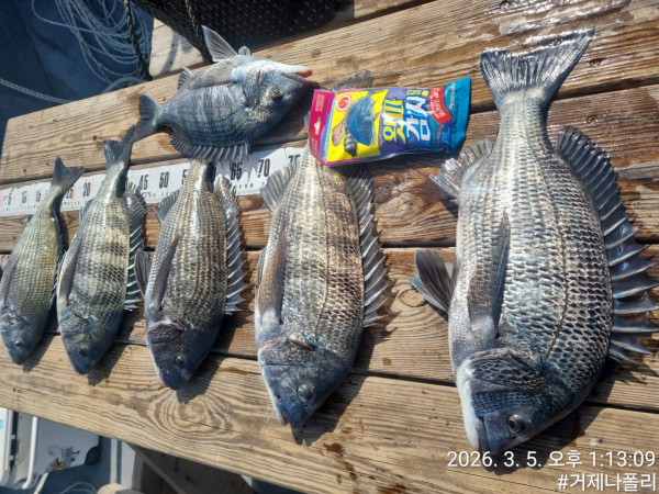 KakaoTalk_20260305_154216420 (1).jpg