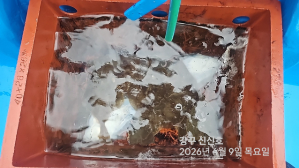 신신낚시 강구점 신신호_사진_20260409_12.jpg