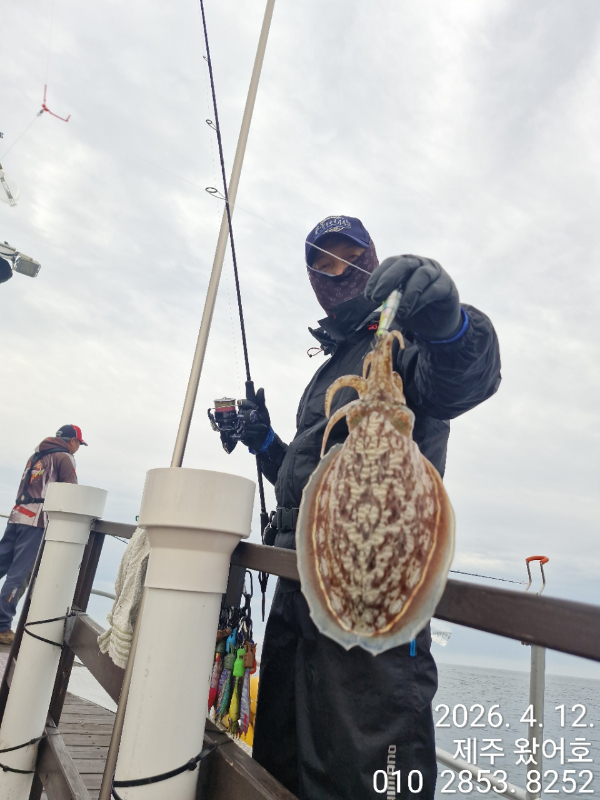 제주왔어호_사진_20260412_18.jpg