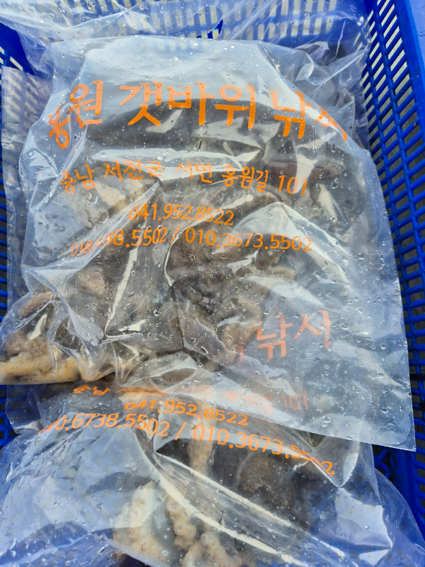 KakaoTalk_20260410_113746912_01.jpg