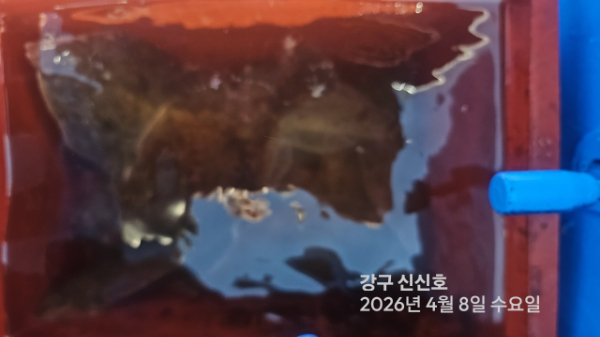 신신낚시 강구점 신신호_사진_20260408_18.jpg