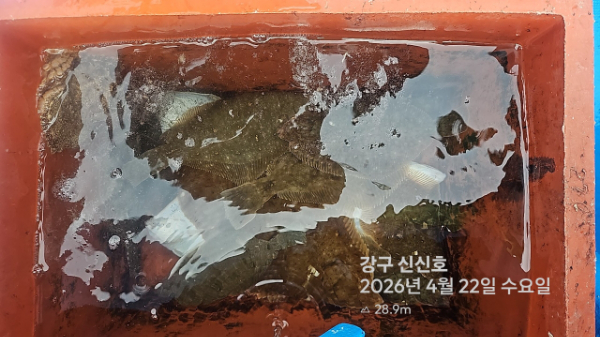 신신낚시 강구점 신신호_사진_20260422_16.jpg