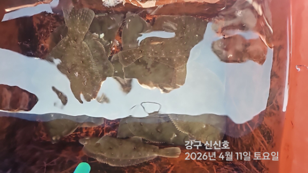 신신낚시 강구점 신신호_사진_20260411_19.jpg