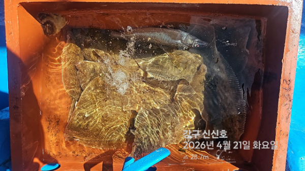 신신낚시 강구점 신신호_사진_20260421_8.jpg