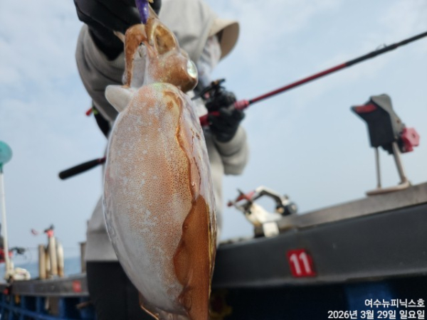 3월29일심해갑 (13).jpg