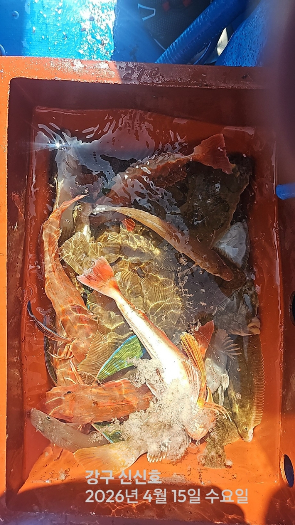신신낚시 강구점 신신호_사진_20260415_16.jpg