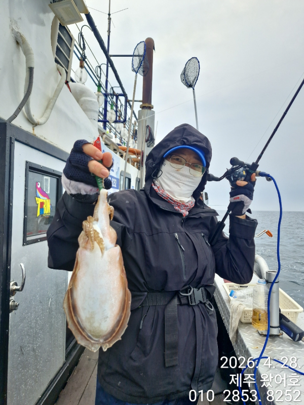 제주왔어호_사진_20260429_22.jpg