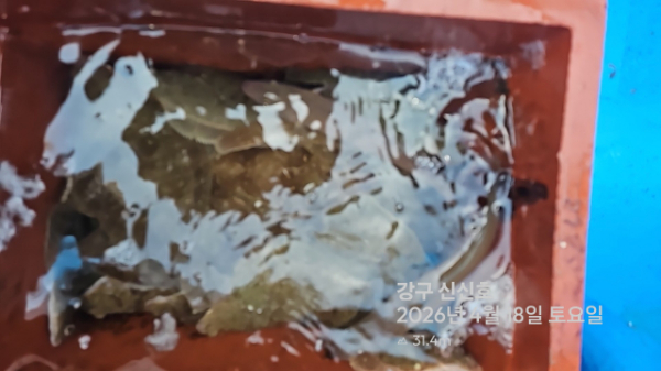 신신낚시 강구점 신신호_사진_20260418_15.jpg