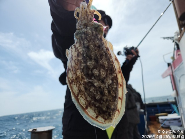4월26일갑한치 (25).jpg