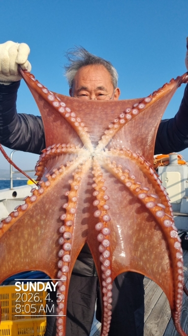 [크기변환]공현진낚시마트(돌핀호)_사진_20260405_4.jpg