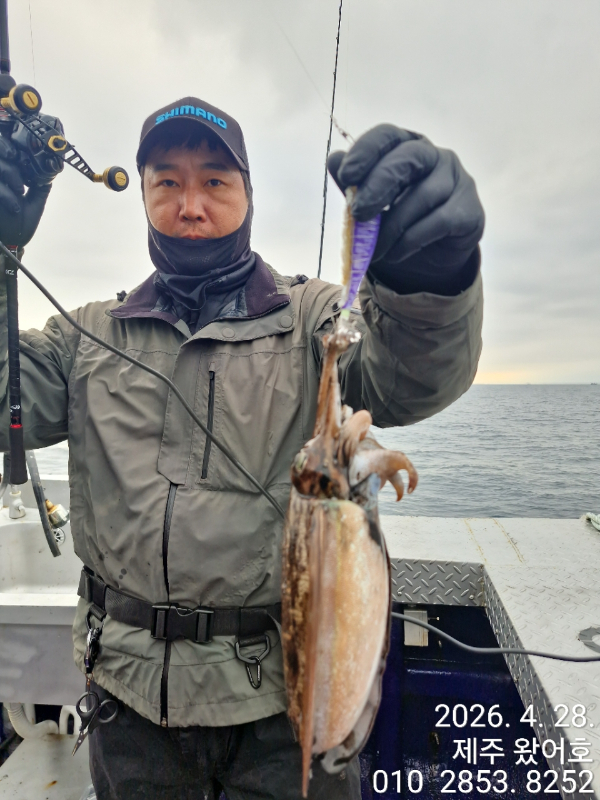 제주왔어호_사진_20260429_17.jpg