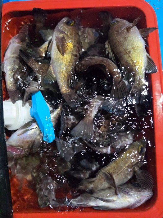 KakaoTalk_20260427_142325397_05.jpg