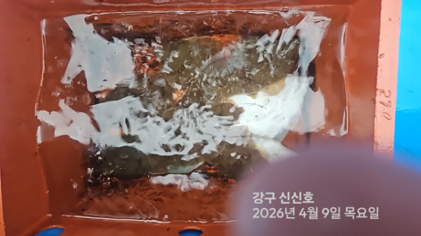 신신낚시 강구점 신신호_사진_20260409_11.jpg