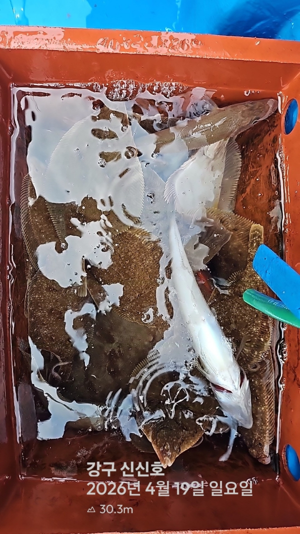 신신낚시 강구점 신신호_사진_20260419_18.jpg