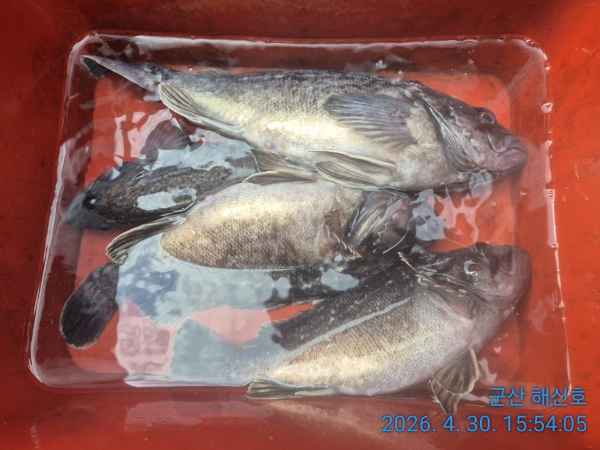 군산해신호_사진_20260430_13.jpg
