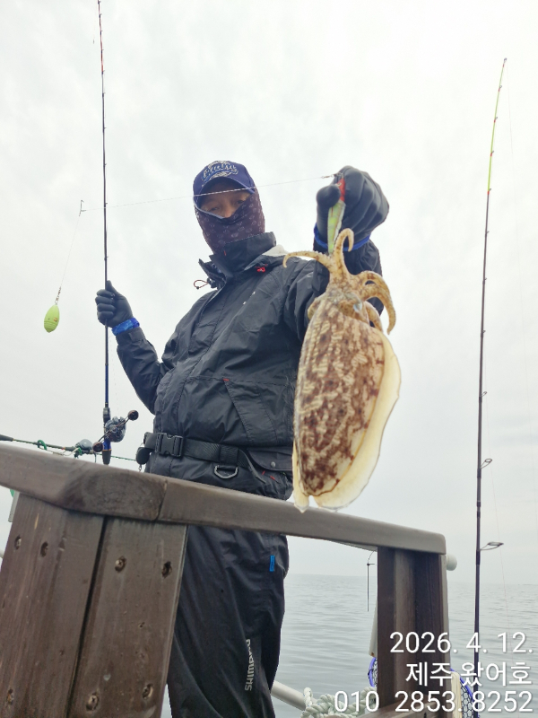 제주왔어호_사진_20260412_14.jpg