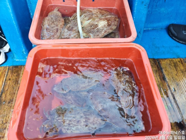 4월5일심해갑 (14).jpg