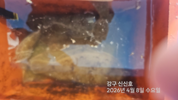 신신낚시 강구점 신신호_사진_20260408_19.jpg