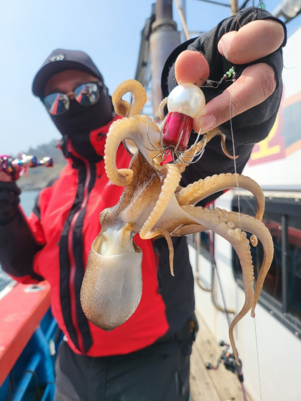 군산 선상낚시, 바다낚시 출조 전문 ☆서군산낚시☆_사진_20260411_11.jpg