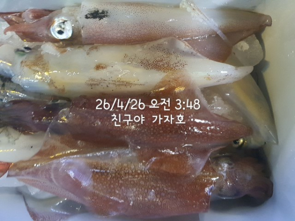1000054296.jpg