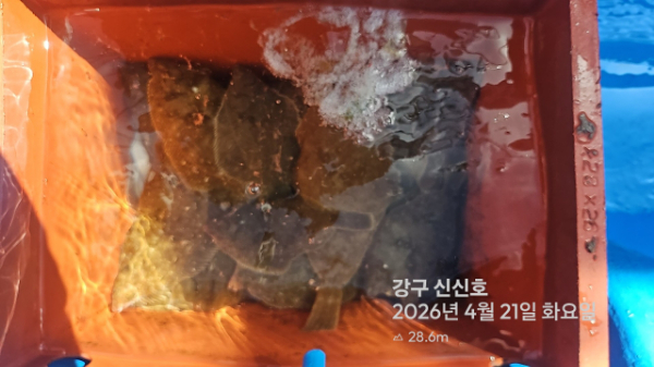 신신낚시 강구점 신신호_사진_20260421_11.jpg