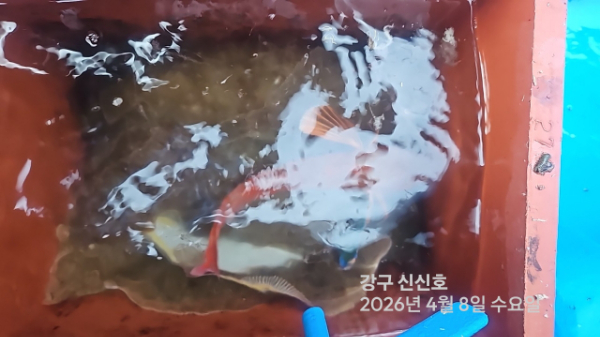 신신낚시 강구점 신신호_사진_20260408_10.jpg