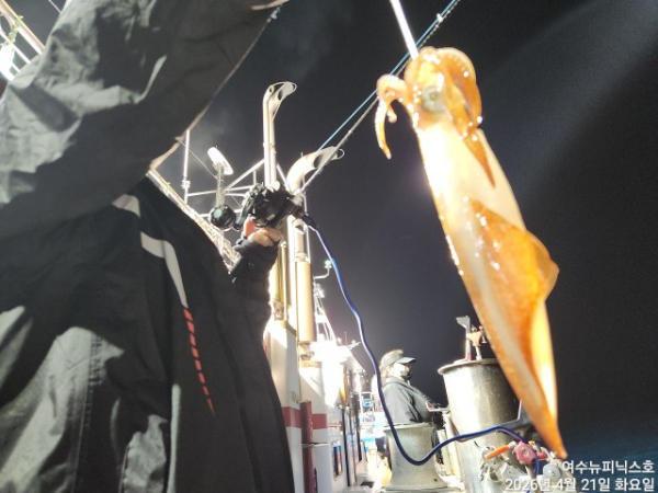4월22일갑한치 (24).jpg