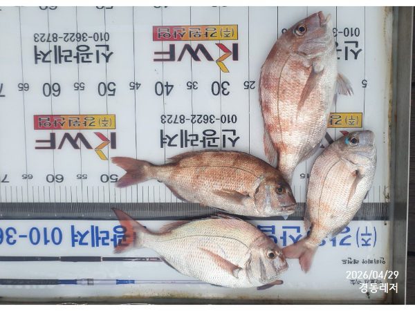 슬라이드0004.jpg